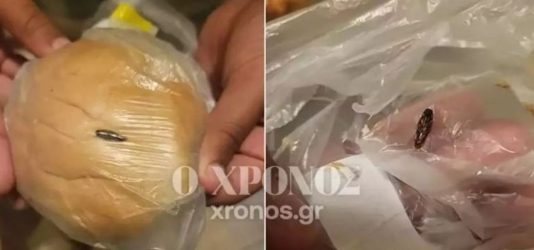 σχολικό γεύμα κατσαρίδα Κομοτηνή