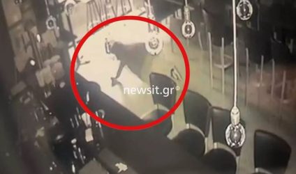 Θεσσαλονίκη διάρρηξη σε καφέ