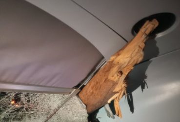 Τρένο προσέκρουσε σε δέντρο στις Αφίδνες – Ο κορμός μπήκε μέσα στο βαγόνι (ΦΩΤΟ)