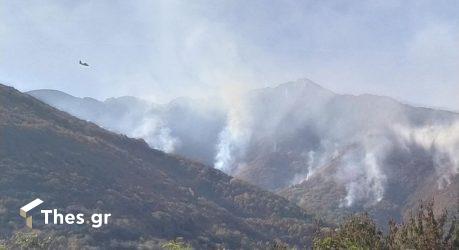Φωτιά στο Παγγαίο: Μεγάλη προσπάθεια για την κατάσβεση της – Βοήθεια από την Σερβία (ΒΙΝΤΕΟ & ΦΩΤΟ)