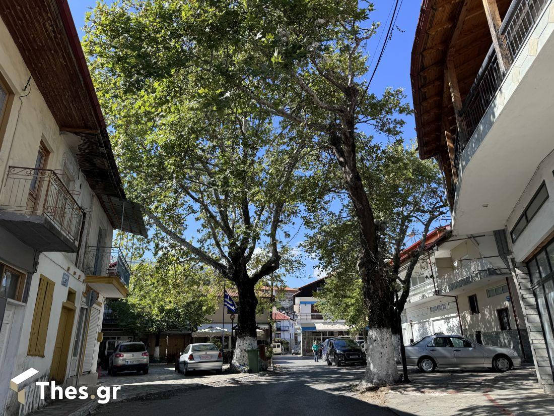 Γρίβα Κιλκίς χωριό