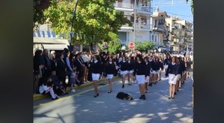 Αριδαία: Εκλεψε τις εντυπώσεις σκύλος που απολάμβανε τον ύπνο του στην παρέλαση (ΒΙΝΤΕΟ)
