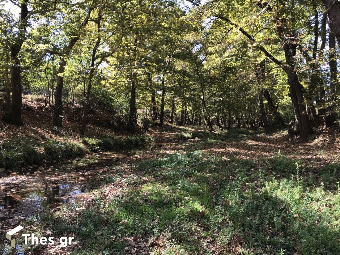 Ο καταρράκτης της Μπούλας Δουμπιά Χαλκιδική