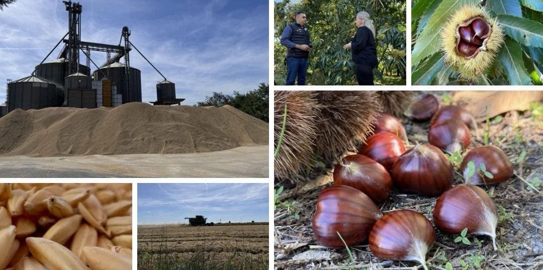 εκπομπή ΠαράγωΓΗΝ 5 ρύζι και κάστανα