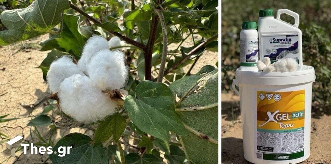 βαμβάκι Agrology εκπομπή ΠΑΡΑΓΩΓΗΝ Ν. Ζίχνη Σερρών