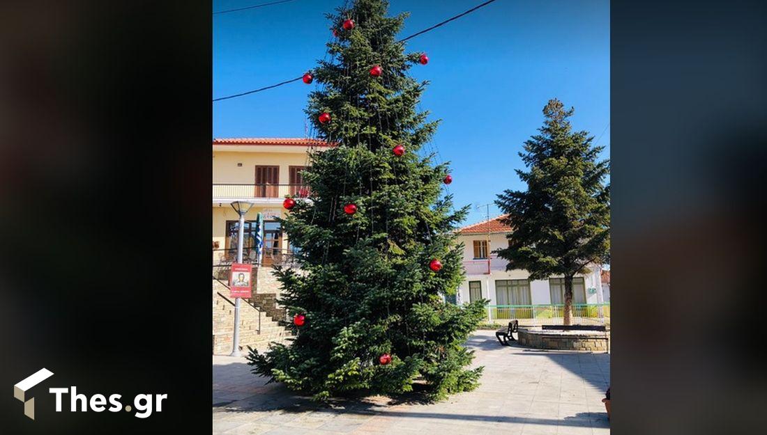 Ταξιάρχης έλατο Χαλκιδική
