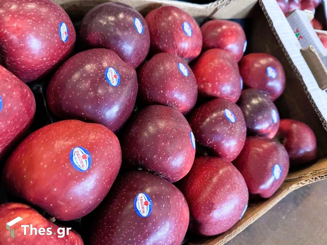 Μήλα Ζαγοράς Zagorin Delicius Συνέντευξη Τύπου Θεσσαλονίκη