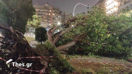 Κακοκαιρία Bora: Πολύ μεγάλα ύψη βροχής σε Χαλκιδική και Πέλλα μέχρι το πρωί της Κυριακής