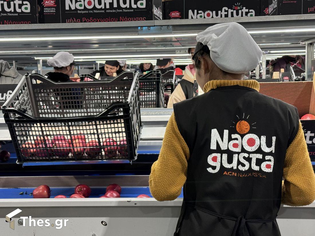 Αγροτικός Συνεταιρισμός Νάουσας ACN εκπομπή ΠαράγωΓΗΝ γύρισμα Νάουσα φρούτα