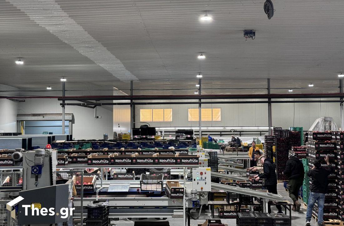 Αγροτικός Συνεταιρισμός Νάουσας ACN εκπομπή ΠαράγωΓΗΝ γύρισμα Νάουσα φρούτα