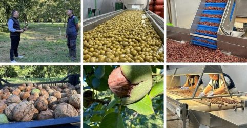 Εκπομπή ΠαράγωΓΗΝ Νο7 Επιτραπέζια Ελιά Χαλκιδικής Καρύδια Νερόμυλοι Πέλλας