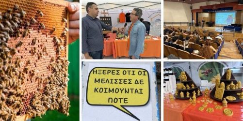 ΠΑΡΑΓΩΓΗΝ: Γνωρίζουμε το μέλι και μαθαίνουμε ποιες είναι οι σύγχρονες προκλήσεις στην αγροδιατροφή
