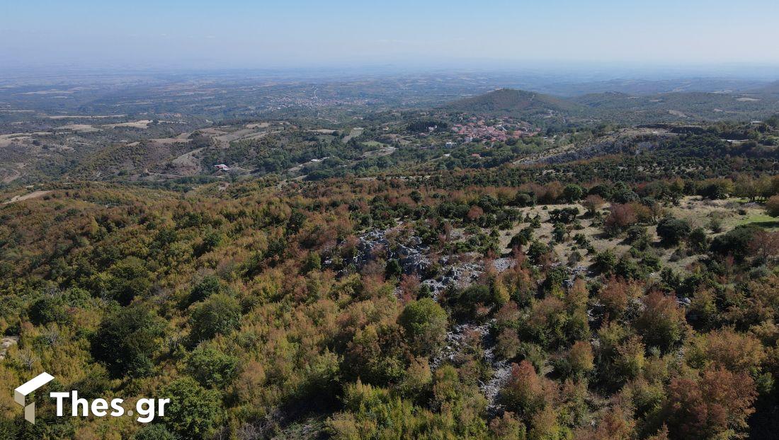 Γρίβα Κιλκίς Πάικο κάστανα καστανόδασος