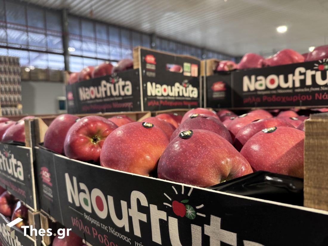 Αγροτικός Συνεταιρισμός Νάουσας ACN εκπομπή ΠαράγωΓΗΝ γύρισμα Νάουσα μήλα