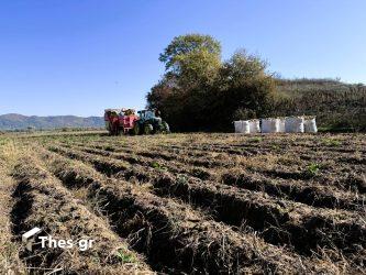 Τέλος ο ΟΠΕΚΕΠΕ – Ενσωματώνεται στην ΑΑΔΕ