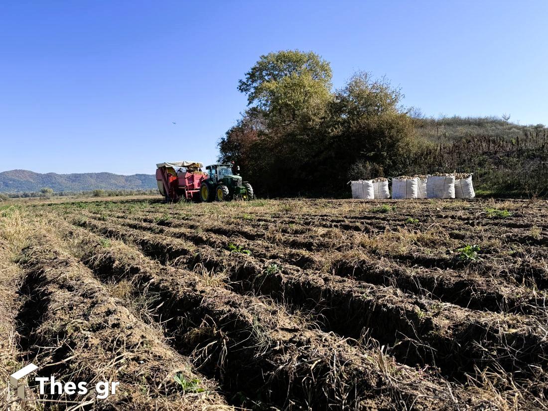 Περιθώρι Δράμας AgroTeam πατάτες Κάτω Νευροκόπι εκπομπή ΠαράγωΓΗΝ TV100