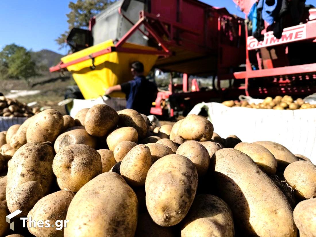 Περιθώρι Δράμας AgroTeam πατάτες Κάτω Νευροκόπι εκπομπή ΠαράγωΓΗΝ TV100