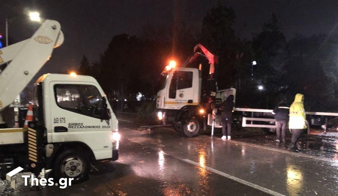 Θεσσαλονίκη πτώση δέντρου