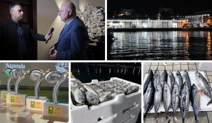 ΠΑΡΑΓΩΓΗΝ: Η αλιεία στον Θερμαϊκό Κόλπο και η Ιχθυόσκαλα της Ν. Μηχανιώνας – Τα βραβεία «Αγρότης της Χρονιάς 2025»