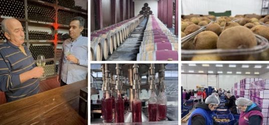 ΠΑΡΑΓΩΓΗΝ: Δοκιμάζουμε το περίφημο ξινόμαυρο κρασί Νάουσας στο VAENI & επισκεπτόμαστε τις εγκαταστάσεις του ΑΣΕΠΟΠ
