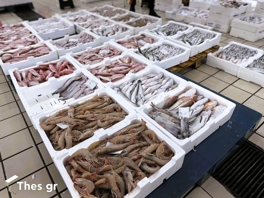 ΠαράγωΓΗΝ αγροτική εκπομπή Ιχθυόσκαλα Ν. Μηχανιώνας ψάρια 
