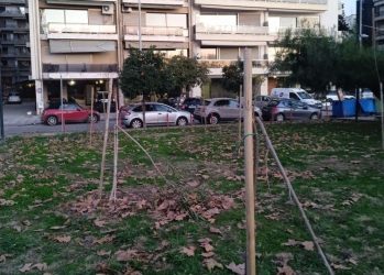 σπασμένα δέντρα Νέα Παραλία Θεσσαλονίκη