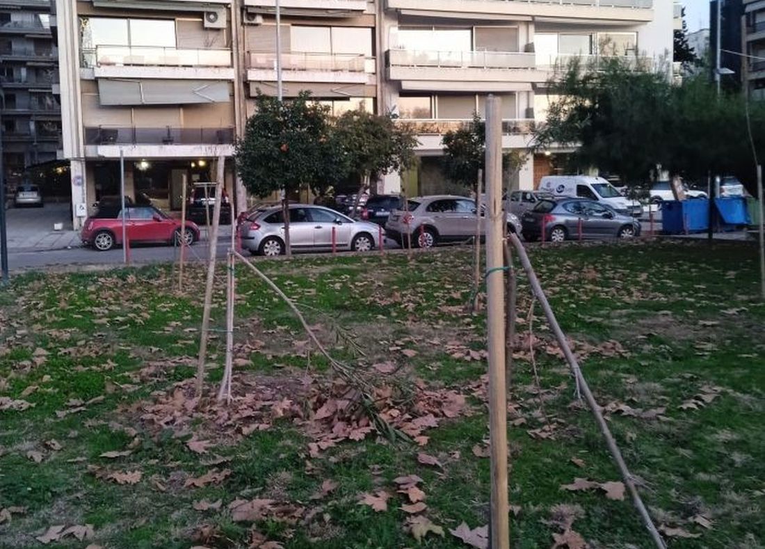 σπασμένα δέντρα Νέα Παραλία Θεσσαλονίκη