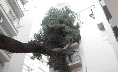 Θεσσαλονίκη δέντρο κακοκαιρία Bora