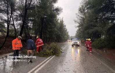 Χαλκιδική: «Διαχειρίσιμη η κατάσταση της κακοκαιρίας, δεν υπάρχει λόγος μετακίνησης», λέει ο δήμαρχος Νέας Προποντίδας (ΒΙΝΤΕΟ)