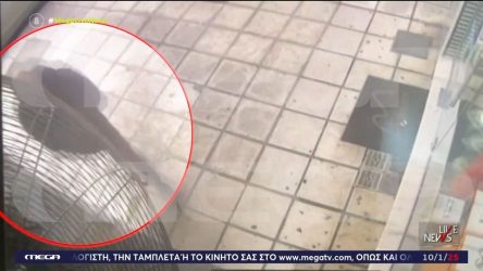 Εξαφάνιση 39χρονου: Πέντε διαφορετικές μαρτυρίες ότι εθεάθη στην Θεσσαλονίκη – “Τον είδε και δημοσιογράφος της ΕΡΤ3” (ΒΙΝΤΕΟ)