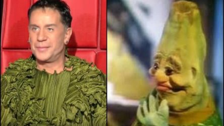 The Voice Μαζωνάκης