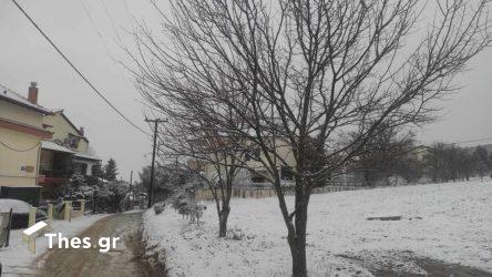 Ο καιρός σήμερα Τρίτη 14 Ιανουαρίου 2024