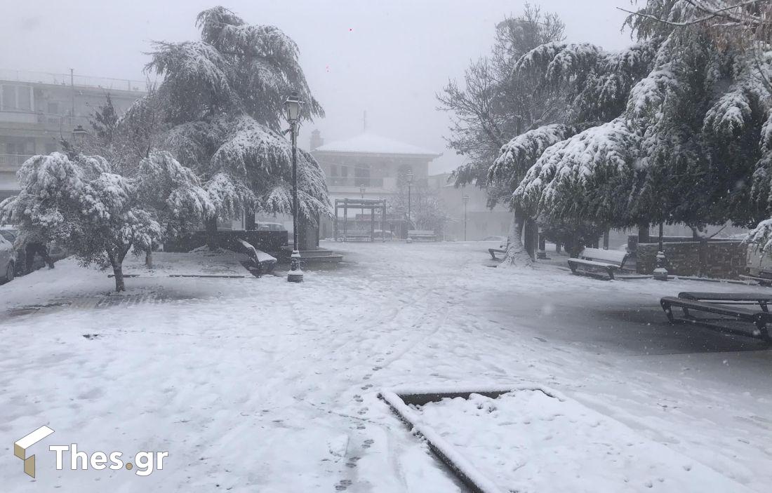 χιόνια Φίλυρο Θεσσαλονίκης