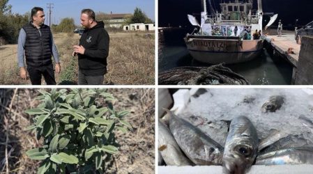 ΠαράγωΓΗΝ 15η εκπομπή αγροτική TV100