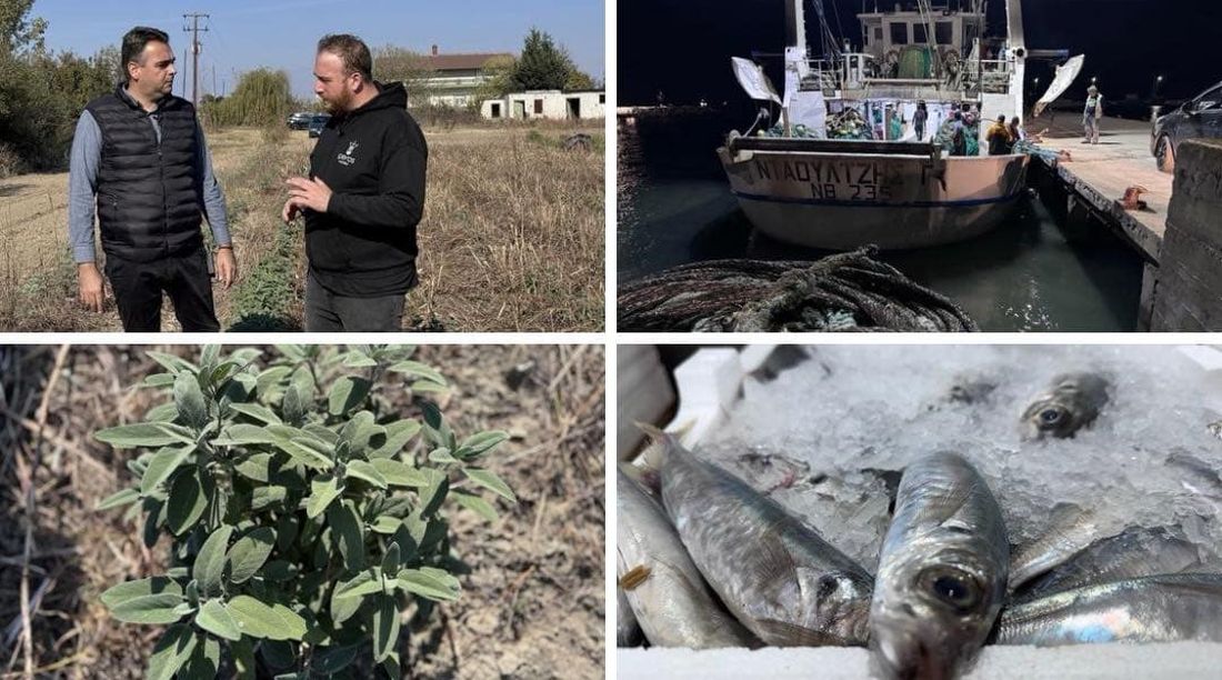 ΠαράγωΓΗΝ 15η εκπομπή αγροτική TV100