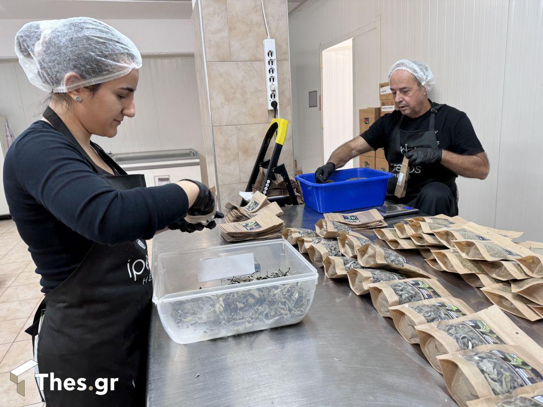 Iperos Herbs Βιολογικά Βότανα Αλεξάνδρεια 