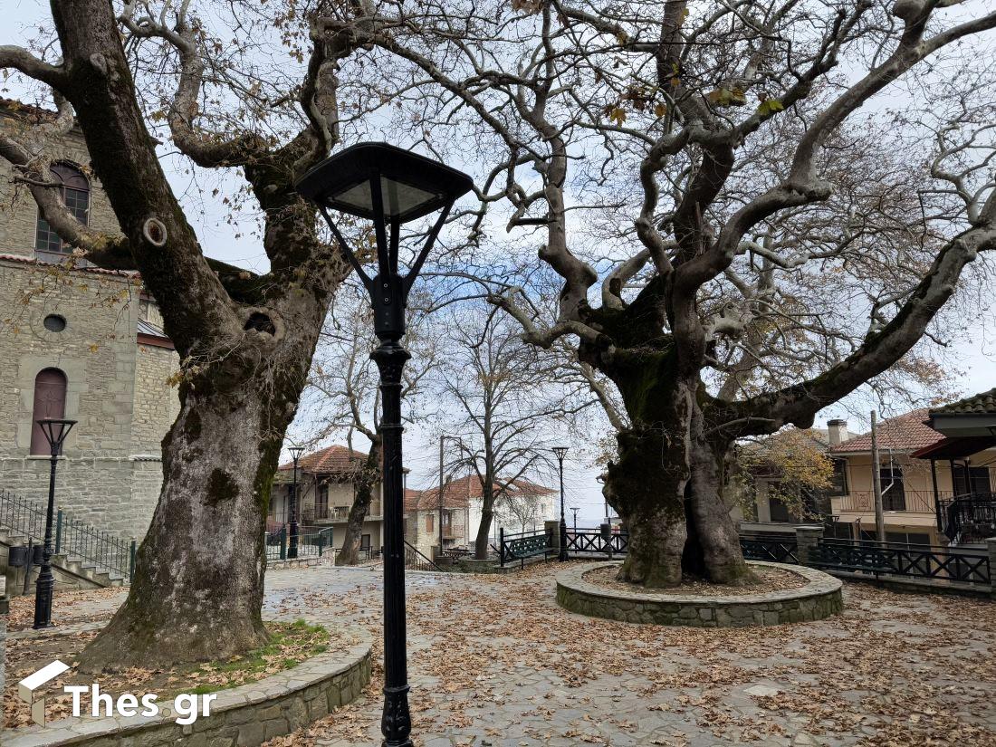 Πλατεία Μεσενικόλας Καρδίτσας πλάτανος