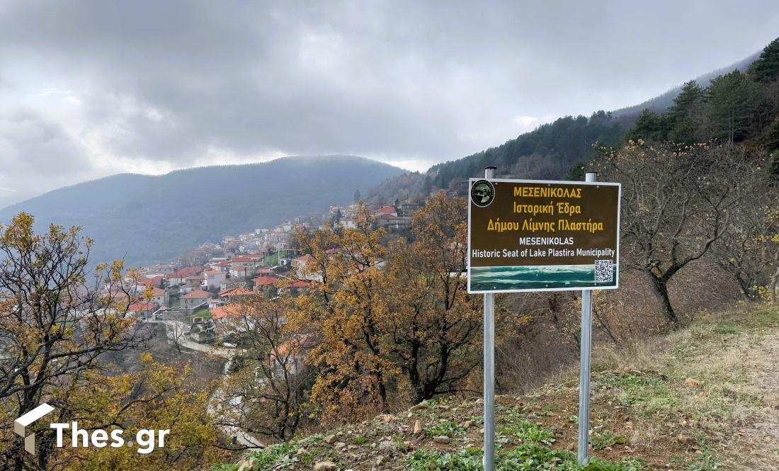 Μεσενικόλας Καρδίτσας θέα χωριό