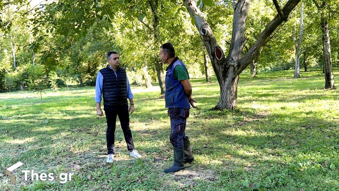 καρύδια Νερόμυλοι Πέλλας εκπομπή ΠαράγωΓΗΝ