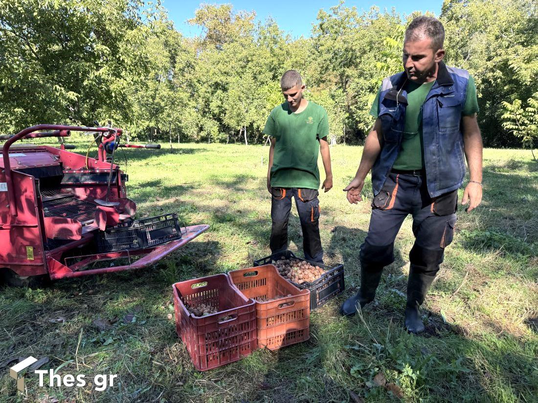 καρύδια Νερόμυλοι Πέλλας εκπομπή ΠαράγωΓΗΝ