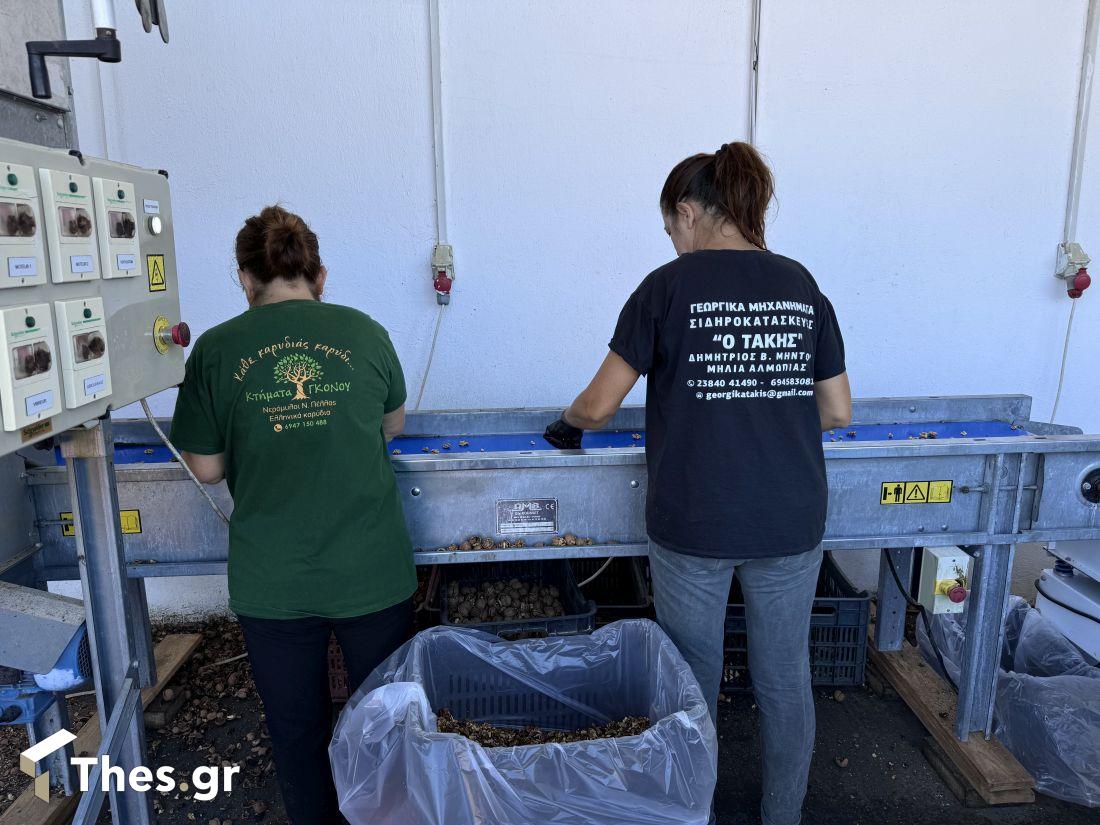 καρύδια Νερόμυλοι Πέλλας εκπομπή ΠαράγωΓΗΝ