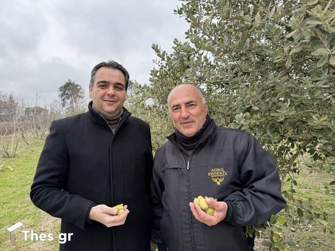φεϊζόα καρποί τροπικό φρούτο εκπομπή ΠαράγωΓΗΝ TV100 αγροτική Ημαθία
