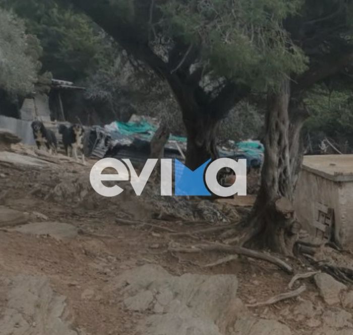 Κάρυστος 53χρονη 