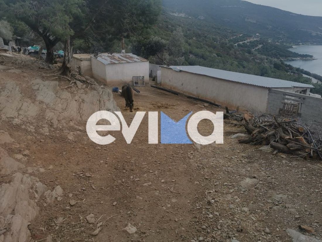 Κάρυστος 53χρονη 