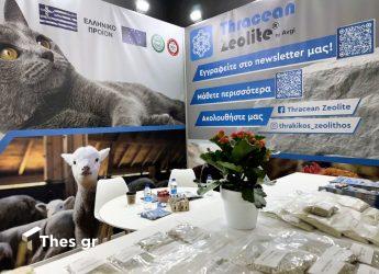 Θρακικός Ζεόλιθος: Δημοσιεύτηκε η πρώτη μελέτη σε επιστημονικό περιοδικό