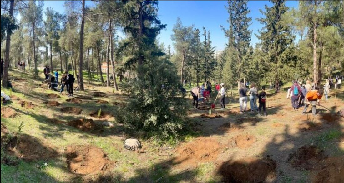 Θεσσαλονίκη Τούμπα δάσος