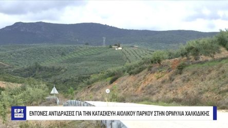 Χαλκιδική: Οι κάτοικοι αντιδρούν στην κατασκευή αιολικού πάρκου στην Ορμύλια (ΒΙΝΤΕΟ)