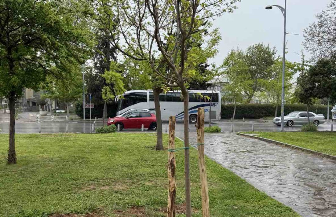 δήμος Θεσσαλονίκη δέντρα