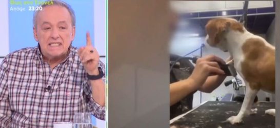 Ανδρέας Μικρούτσικος