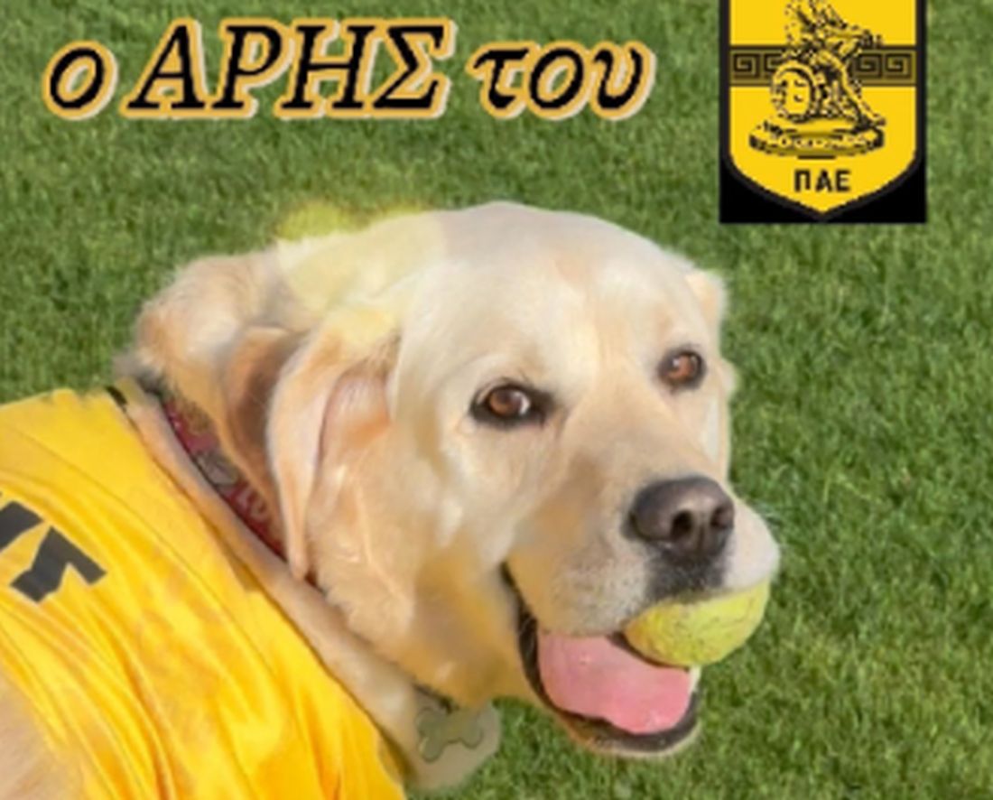 Αρης σκύλος